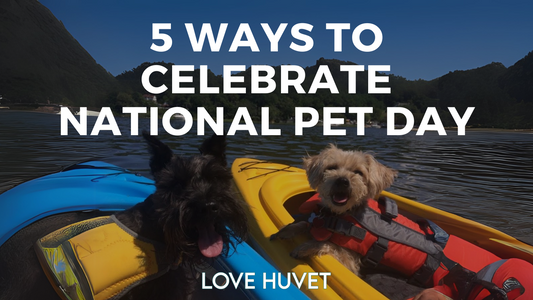 5 ways to celebrate national pet day by love huvet - two dogs enjoying a kayak ride