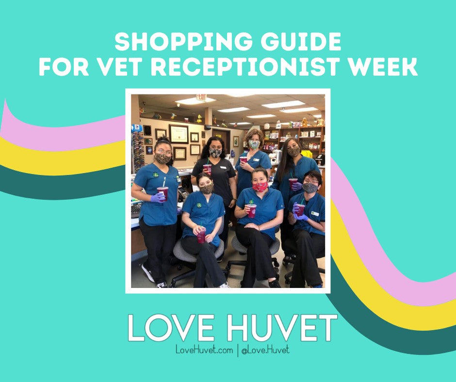 Veterinary Receptionist Week; 6 things your receptionist needs today