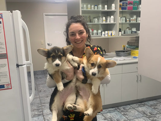 Vet Tech Appreciation Week 2023 | Love Huvet