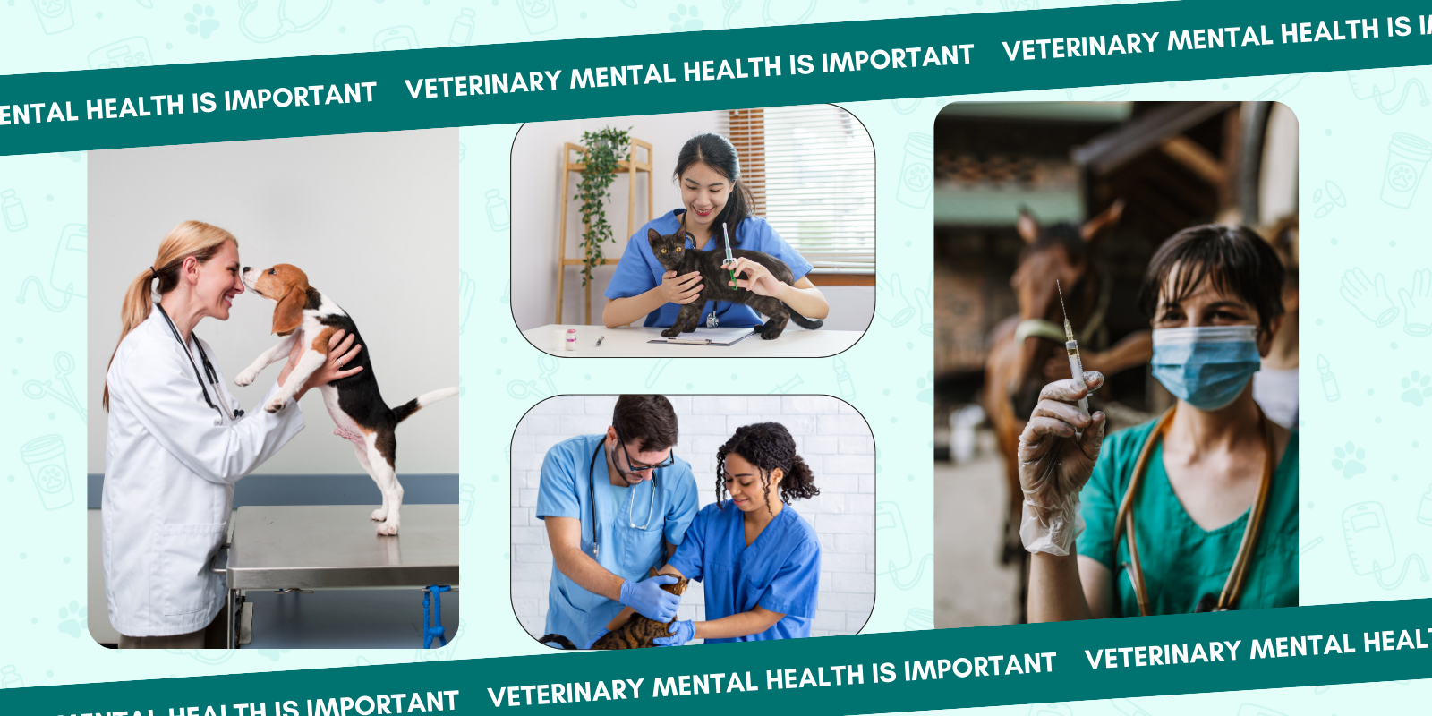 Veterinary Mental Health | 10 Ways To Care For Your Mental Health ...