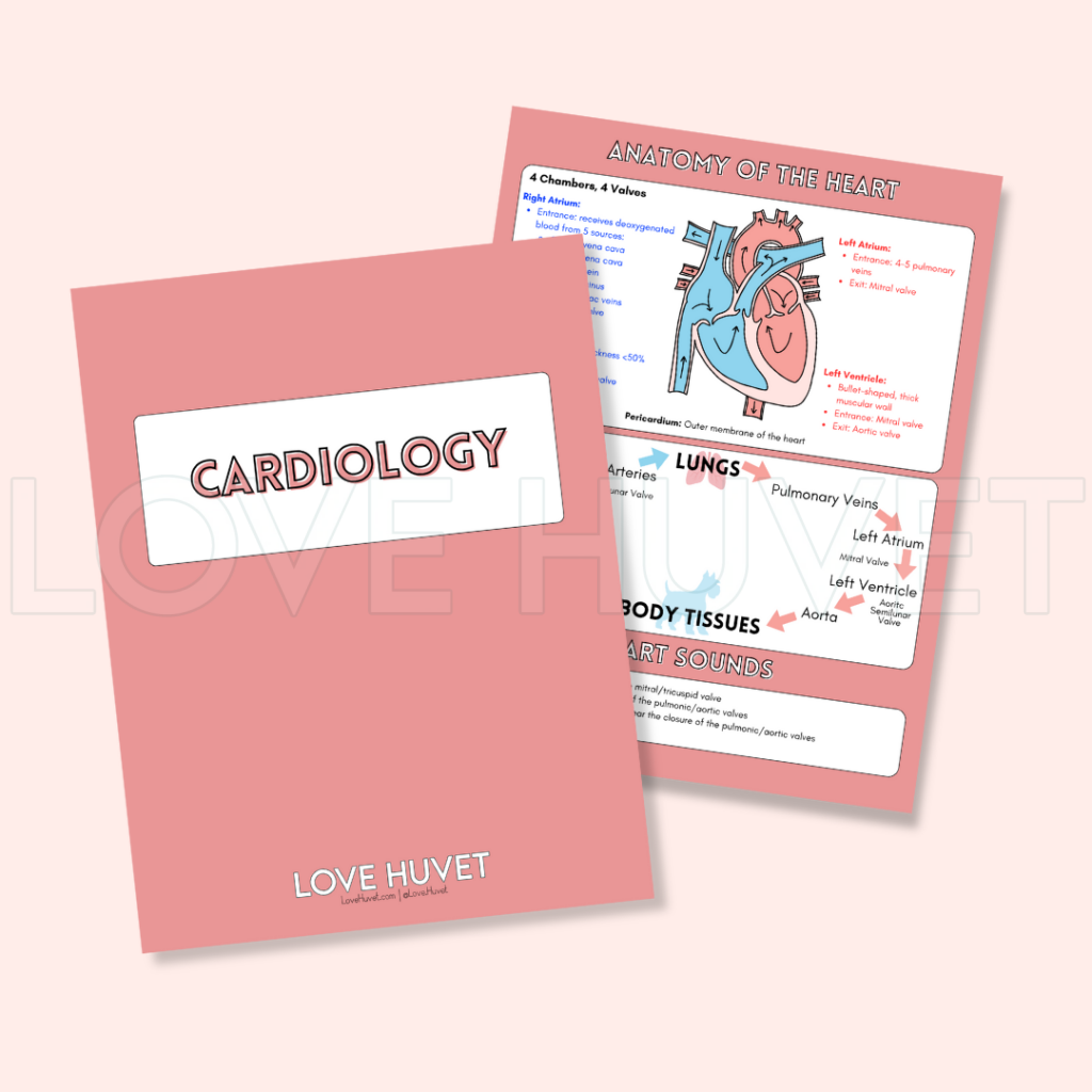 Cardiology Guide (Printable + Digital) | Love Huvet