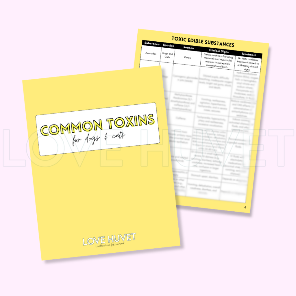 Common Toxins in Dogs & Cats Guide (Printable + Digital) | Love Huvet