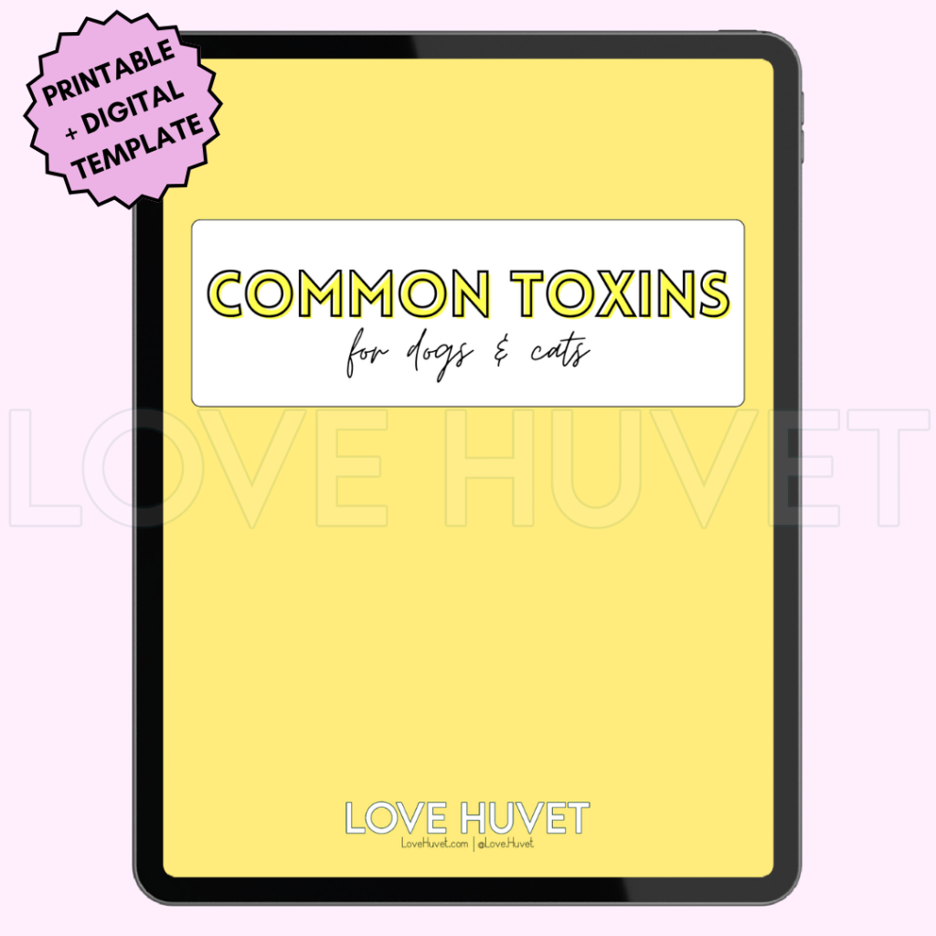 Common Toxins in Dogs & Cats Guide (Printable + Digital) | Love Huvet