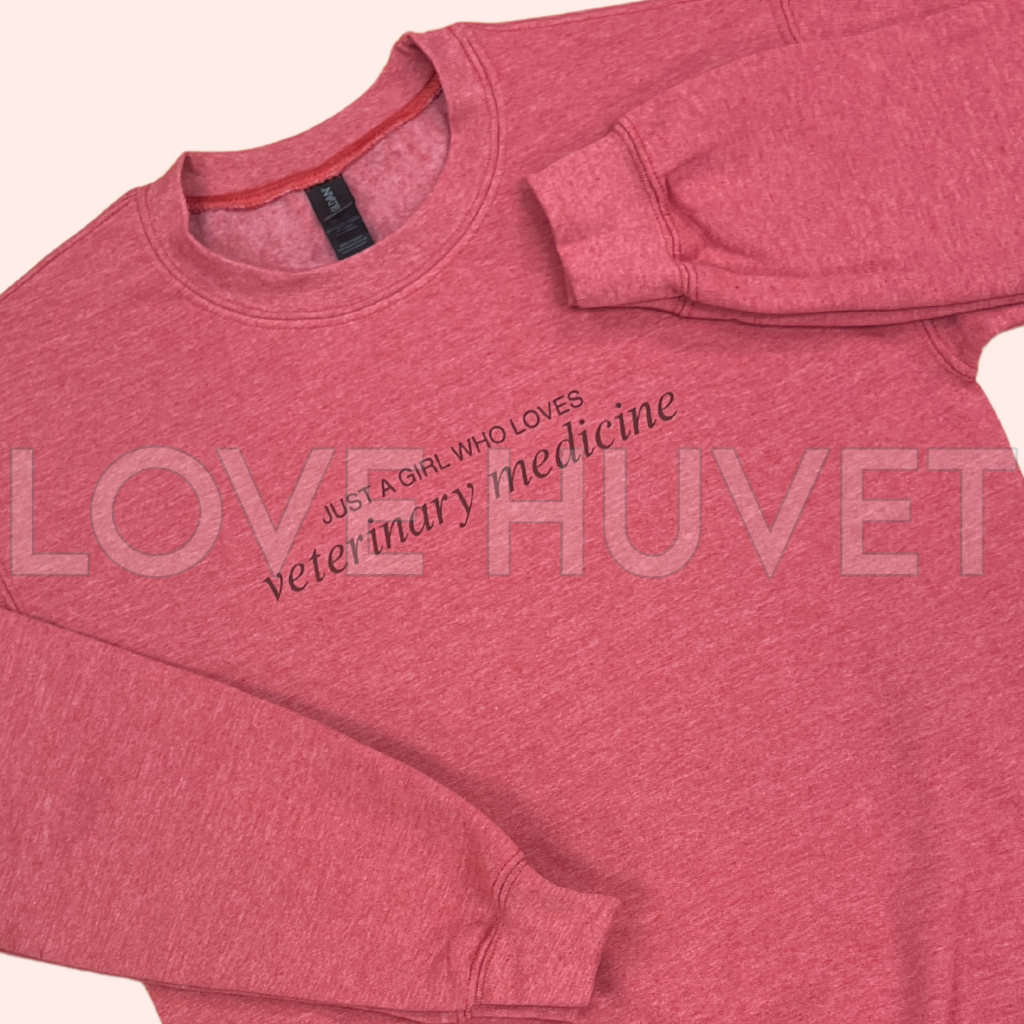 Mystery Shirt | Love Huvet