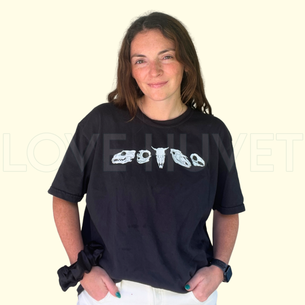 Mystery Shirt | Love Huvet