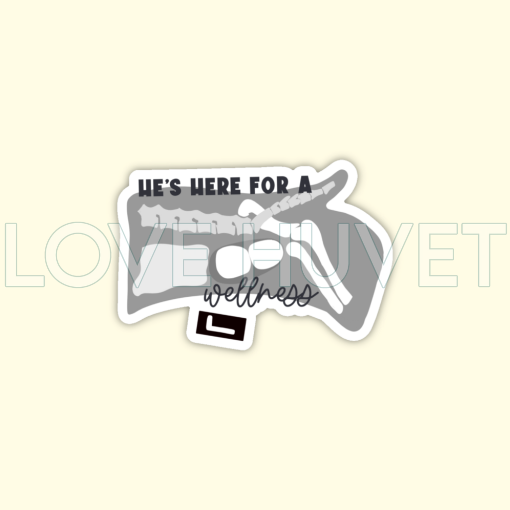 Wellness Exam Finding Sticker | Kissed Whiskers