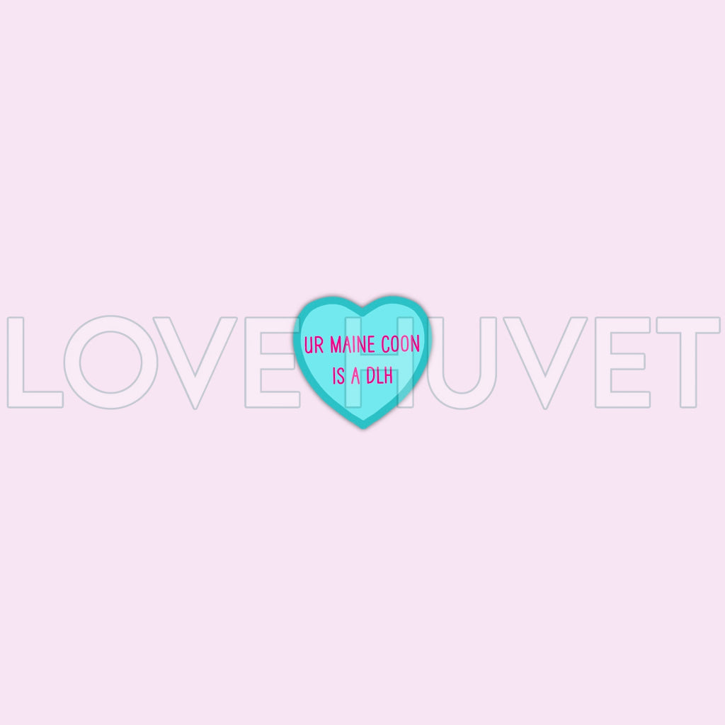 Your Maine Coon is a DLH Shoe Charm | Love Huvet