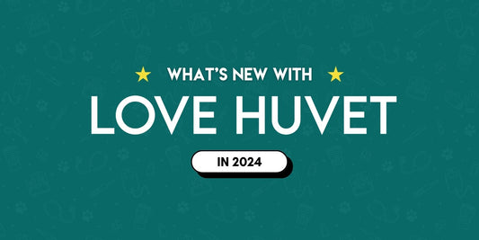 What-s-New-for-Love-Huvet-in-2024 | Love Huvet