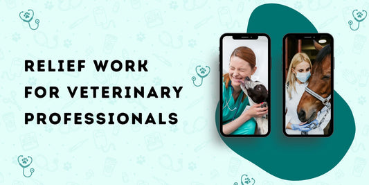 Relief Work for Veterinary Professionals: A Rewarding Career Choice | Love Huvet