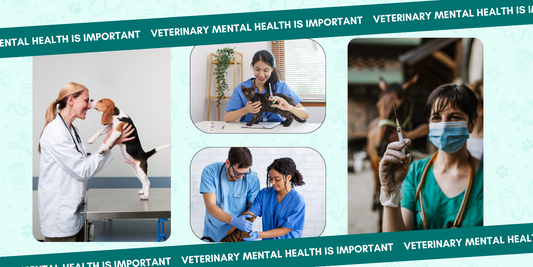 Maintaining Your Sanity in Vet Med: 10 Ways to Prioritize Veterinary Mental Health | Love Huvet