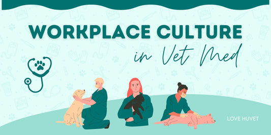 What You Need to Know About Workplace Culture in Vet Med | Love Huvet