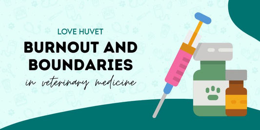 Burnout and Boundaries in Veterinary Medicine | Love Huvet