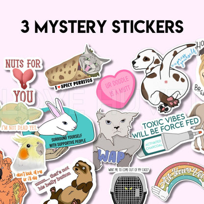 3 Mystery Stickers | Love Huvet