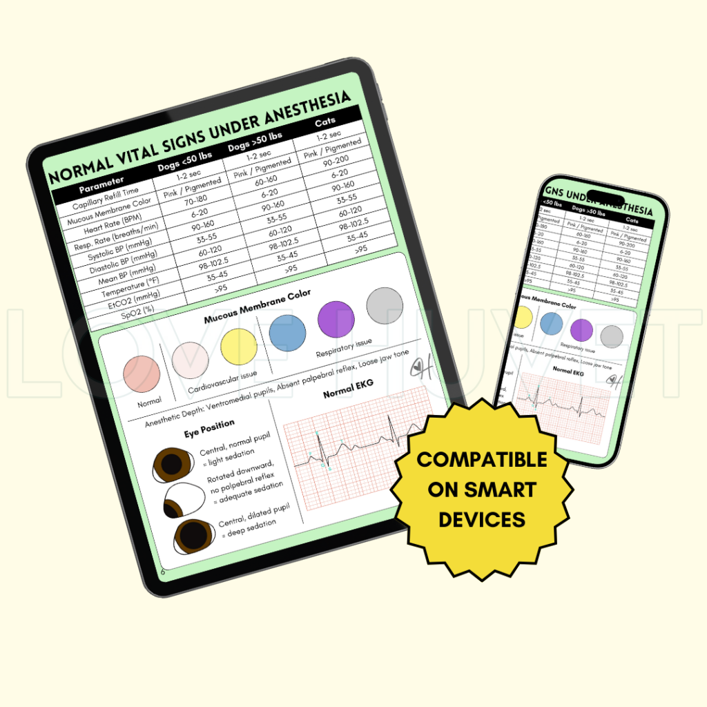 Anesthesia Guide (Printable + Digital) | Love Huvet