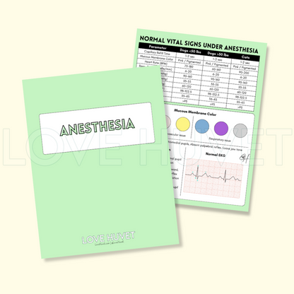 Anesthesia Guide (Printable + Digital) | Love Huvet