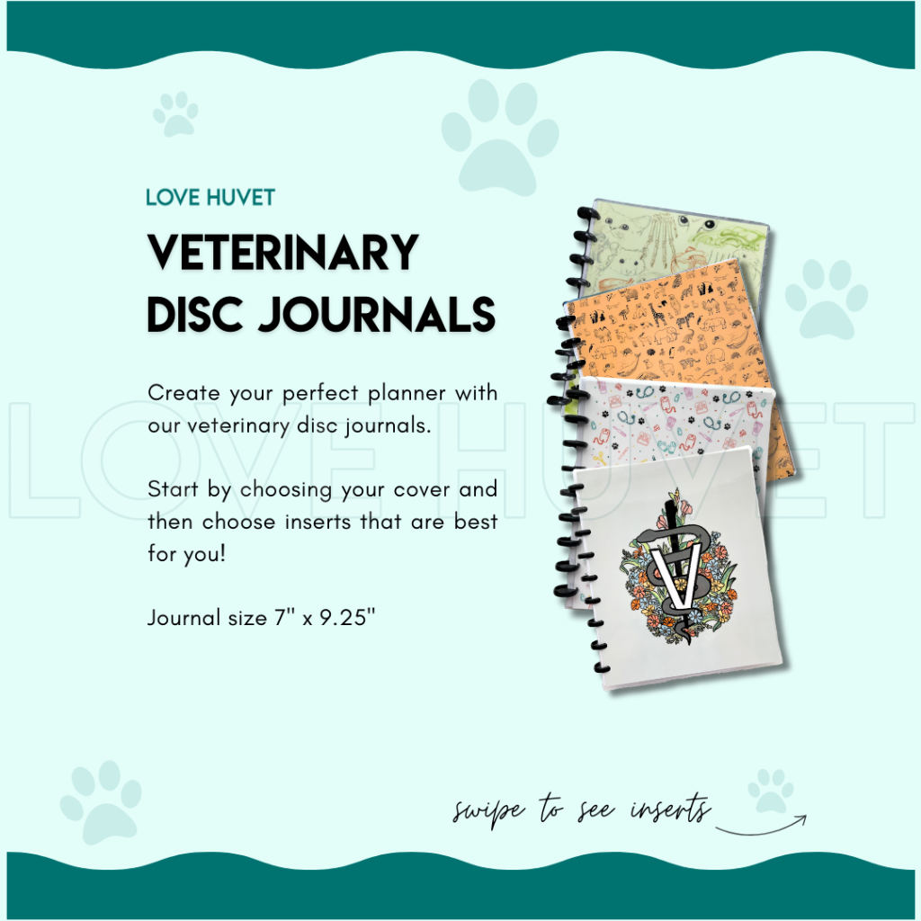 BYO Disc Journal | Love Huvet