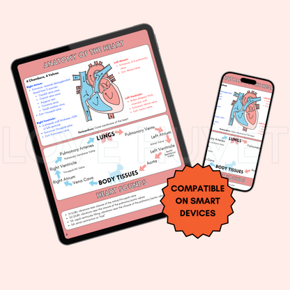 Cardiology Guide (Printable + Digital) | Love Huvet