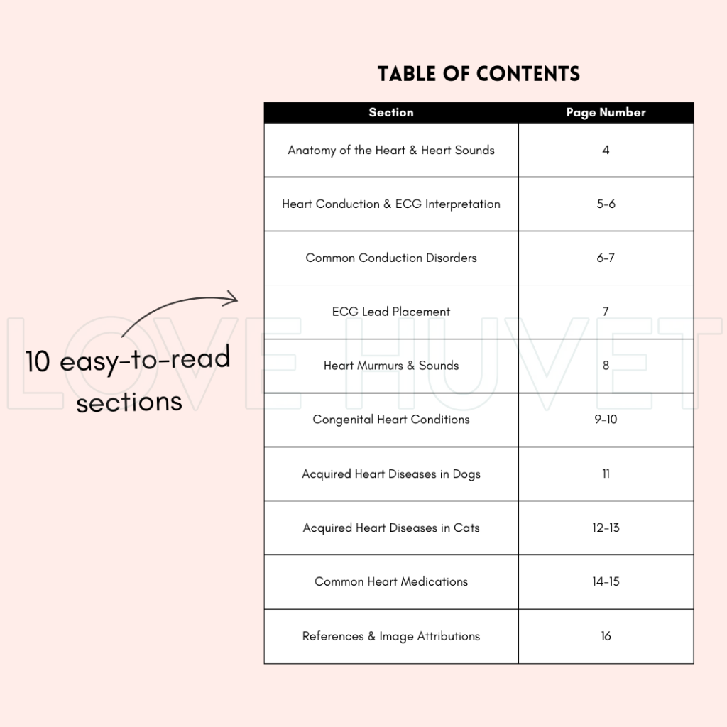 Cardiology Guide (Printable + Digital) | Love Huvet