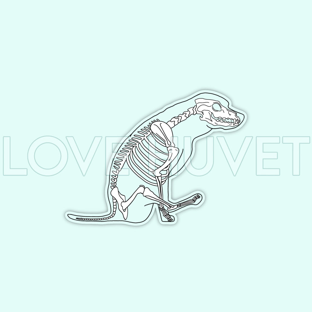 CLEAR Dragging A$$ Skeleton Sticker | Love Huvet