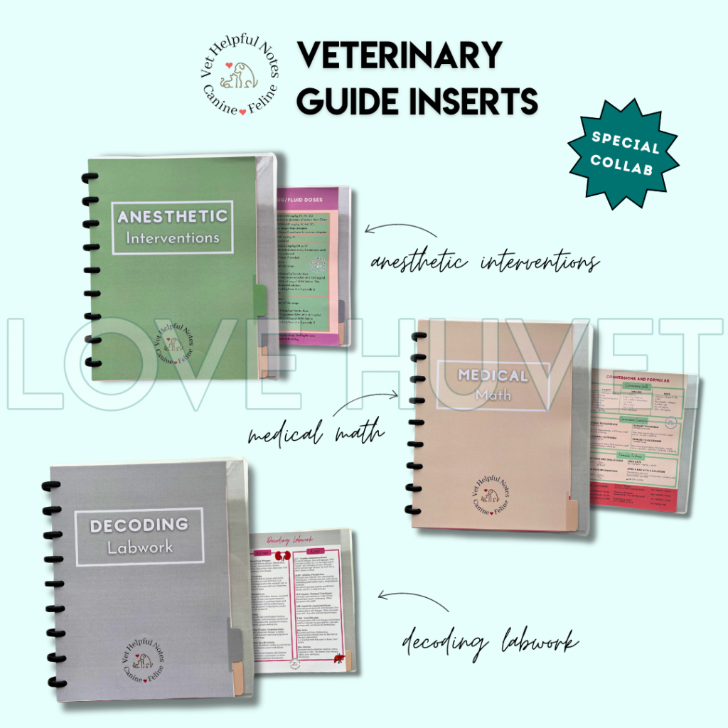 Decoding Labwork Disc Journal Section | Vet Helpful Notes