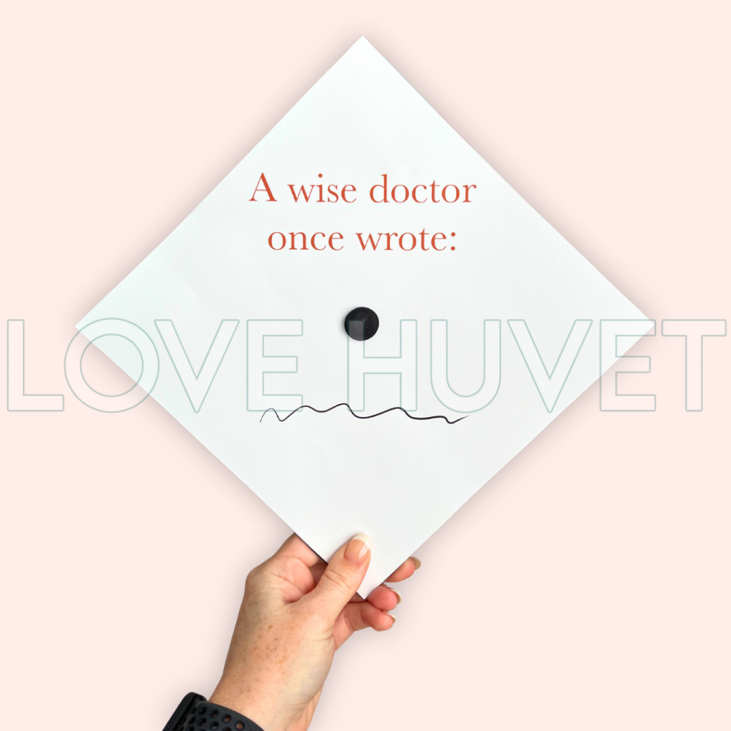 Doctor Scribble Grad Cap Topper | Love Huvet