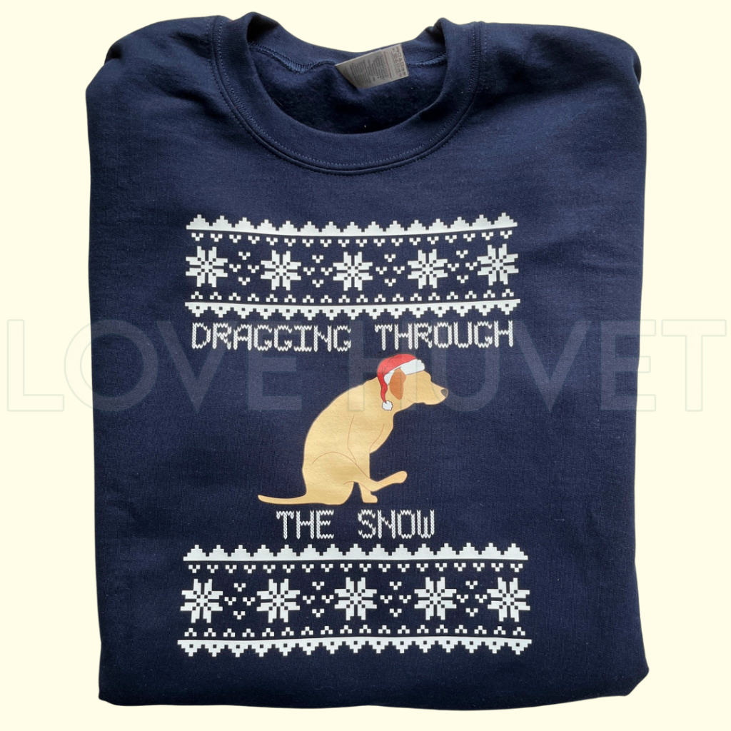 Dragging Ass Ugly Christmas Sweatshirt | Love Huvet