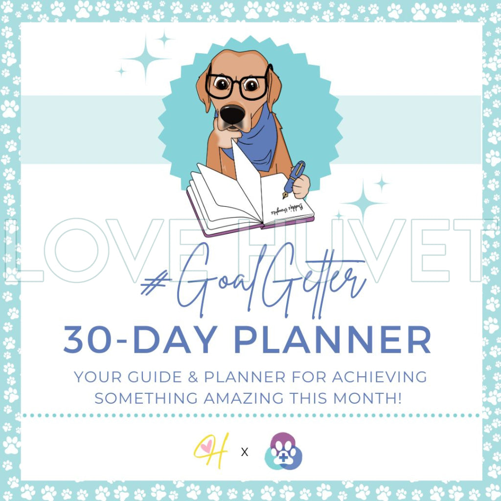 Goal Getter Planner | VWB x Love Huvet | Veterinary Well-Being Buddy