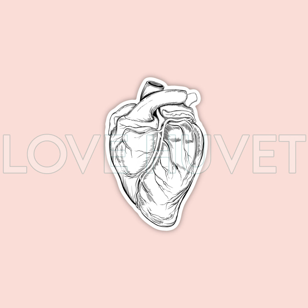 Heart Sticker | The Vet Med Artist