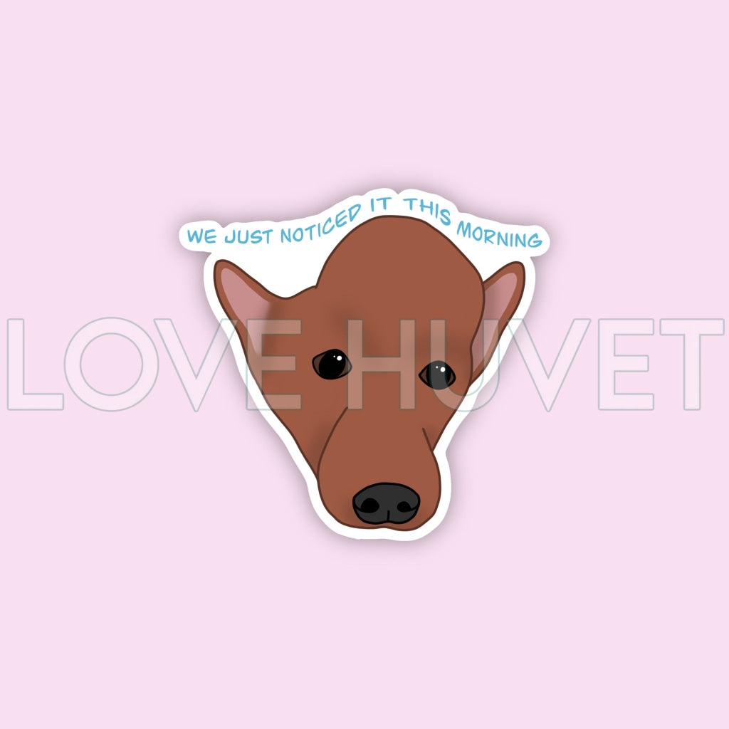 Just Noticed Sticker | Love Huvet