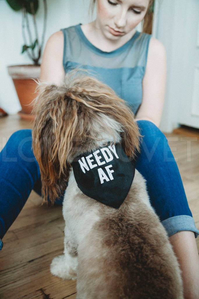 Needy AF Pet Bandana/Collar | SNARK CITY