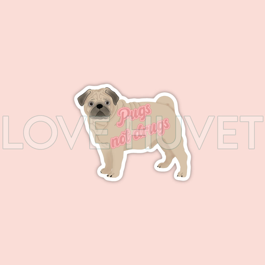 Pugs not Drugs Sticker | Love Huvet