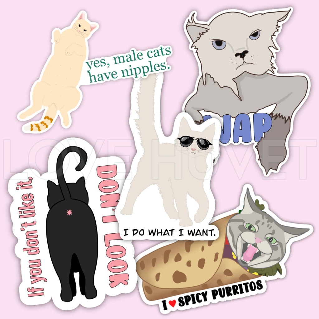 Purrfection Sticker Pack | Love Huvet