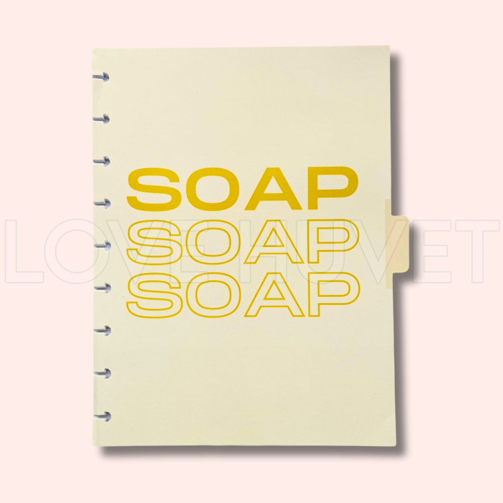 SOAP Disc Journal Insert | Love Huvet