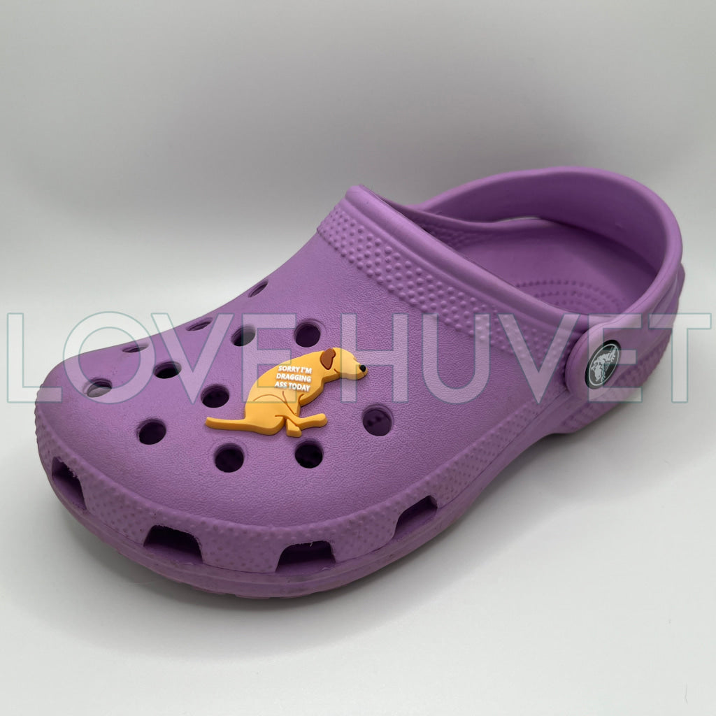 Sorry I'm Dragging Ass Shoe Charm | Love Huvet