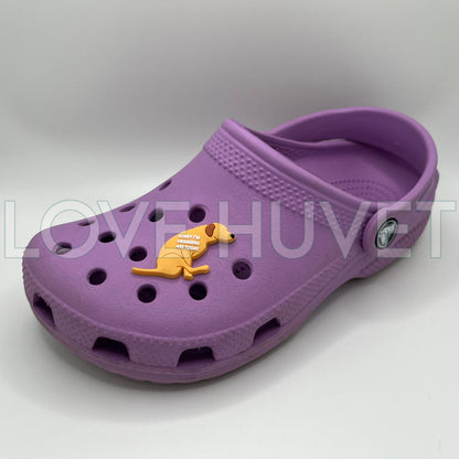 Sorry I'm Dragging Ass Shoe Charm | Love Huvet