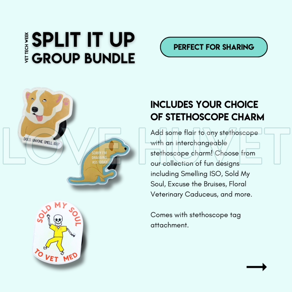 Split It Up Group Bundle