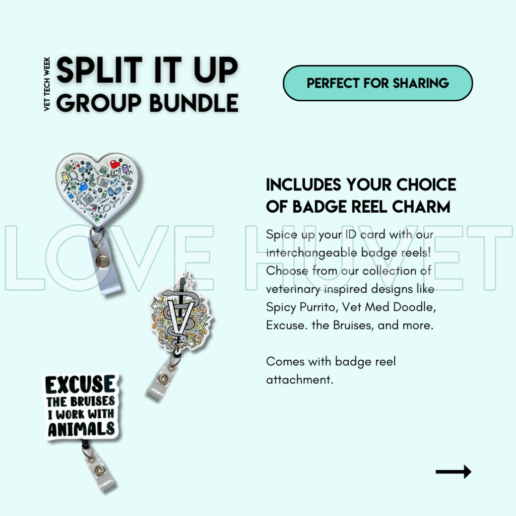 Split It Up Group Bundle