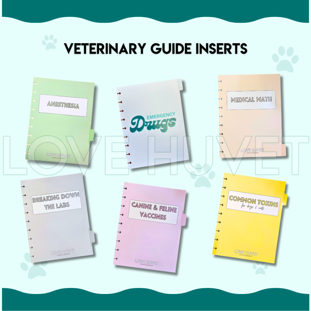 Vet Med Starter Pack | Love Huvet