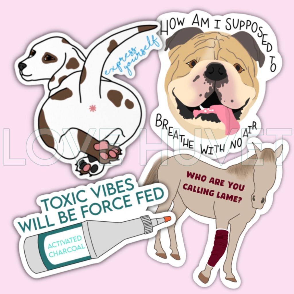 Veterinary Pun Sticker Pack | Love Huvet