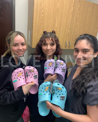 Veterinary Shoe Charm Bundle | Love Huvet