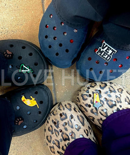 Veterinary Shoe Charm Bundle | Love Huvet