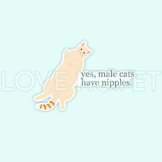 Yes, Male Cats Have Nipples Sticker | Love Huvet