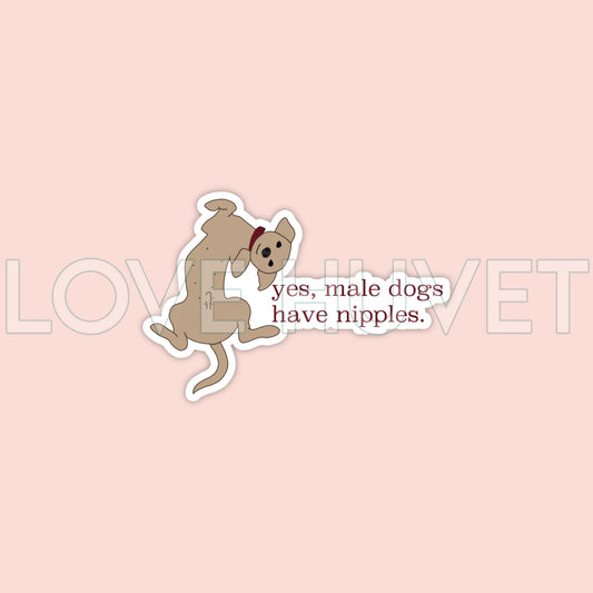 Yes, Male Dogs Have Nipples Sticker | Love Huvet